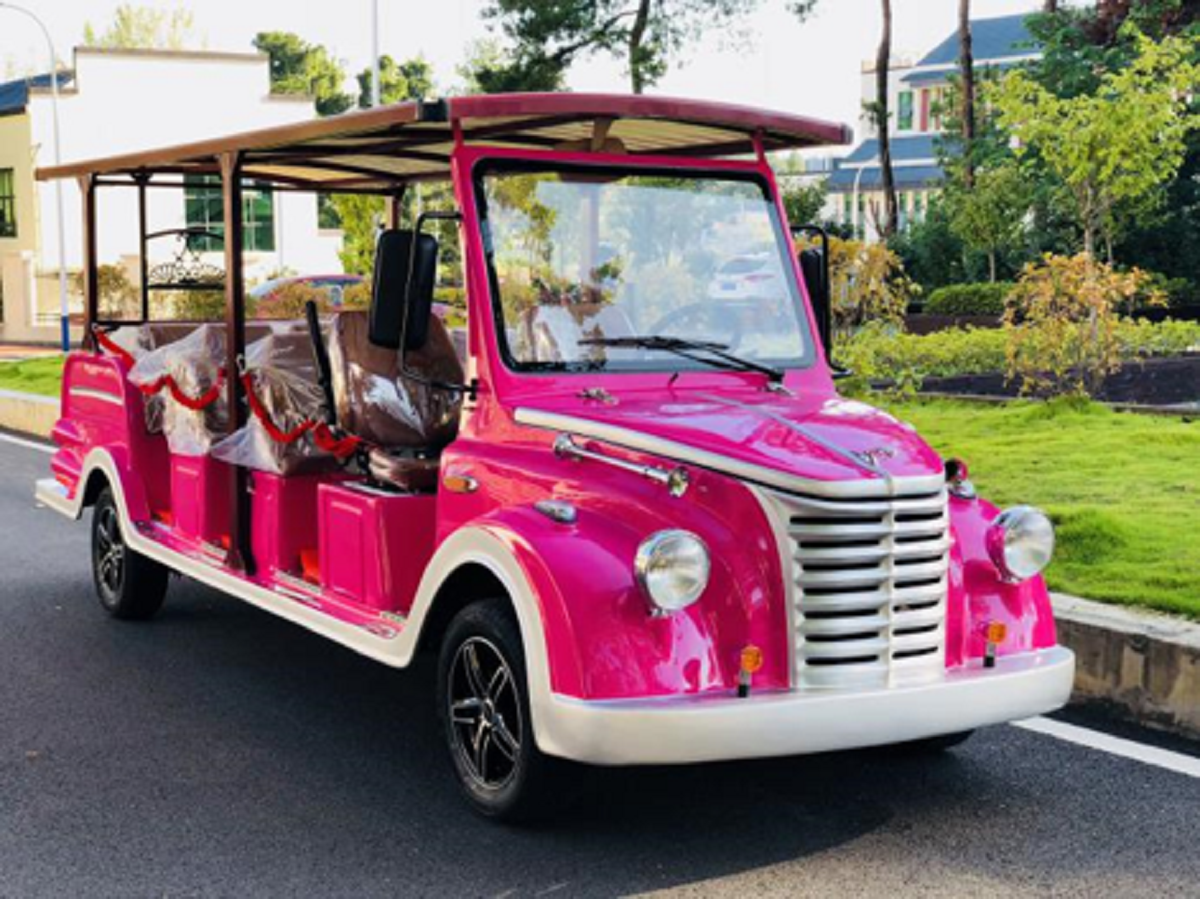 電動(dòng)觀(guān)光車(chē)