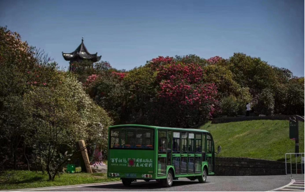 百里杜鵑觀光車(chē)案例圖片 百里杜鵑觀光車(chē)案例圖片