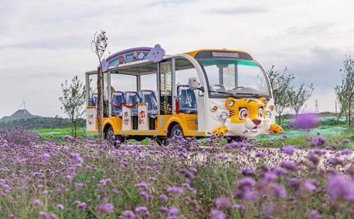 電動(dòng)觀光車相對燃油觀光車來說有什么優(yōu)勢？