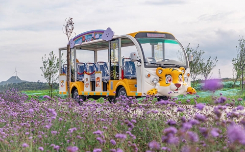 電動觀光車廠家哪個品牌好，電動觀光車市場價格